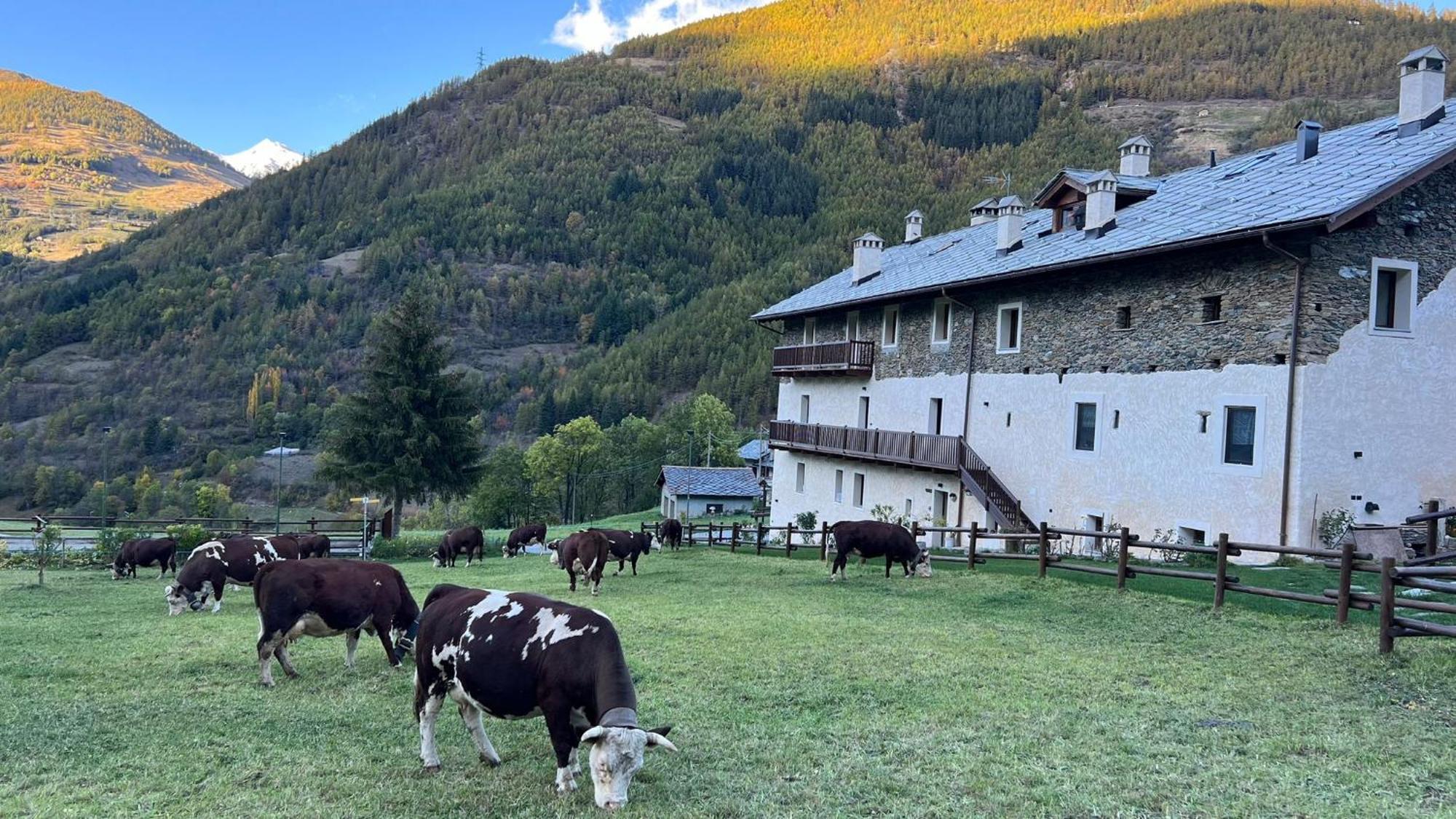 Maison Marcoz - Appartamenti Vacanze Étroubles Extérieur photo